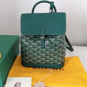 Goyard Alpin Mini backpack green